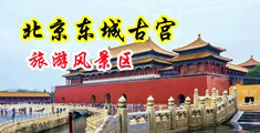 操爽鸡巴视频中国北京-东城古宫旅游风景区